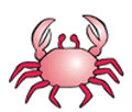 Horoscope: Cancer
